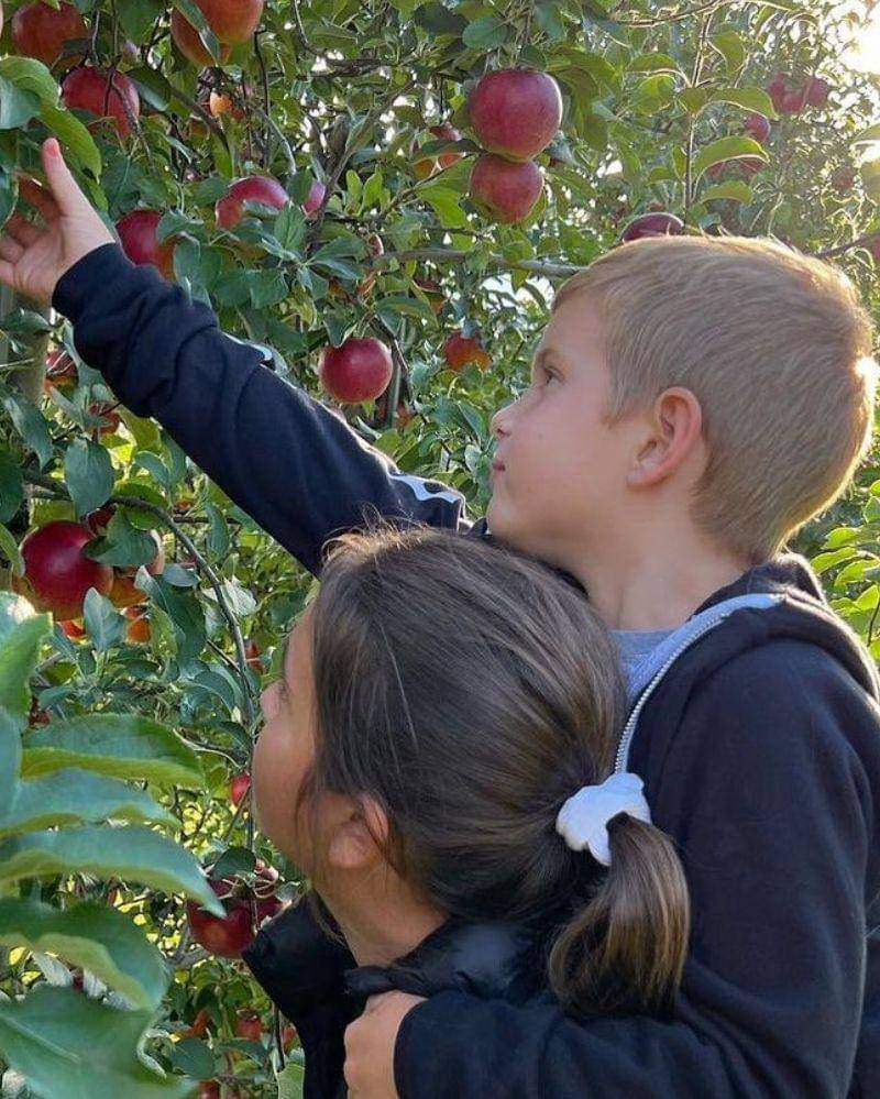 Instagram.com/ivankatrump